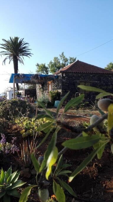 티하라페 Casita En El Campo Con Vista Al Oceano 빌라 외부 사진