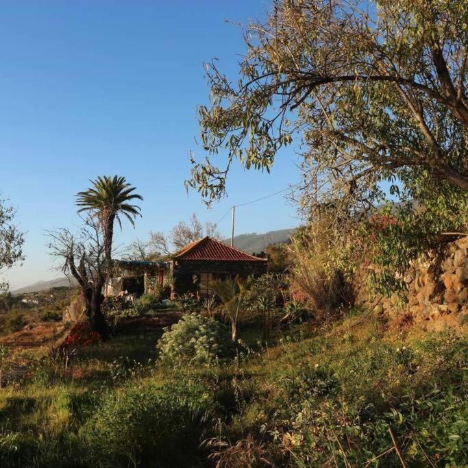 티하라페 Casita En El Campo Con Vista Al Oceano 빌라 외부 사진