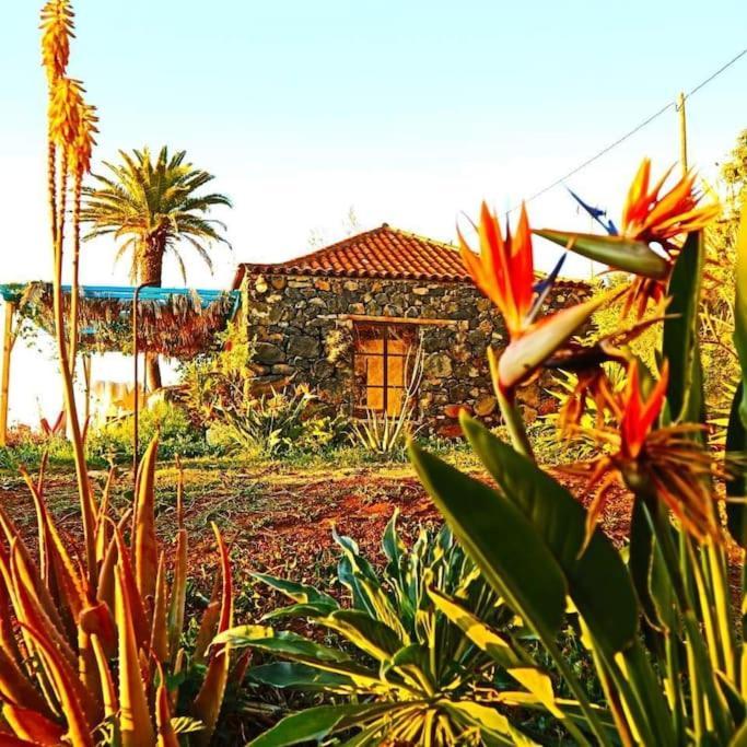티하라페 Casita En El Campo Con Vista Al Oceano 빌라 외부 사진