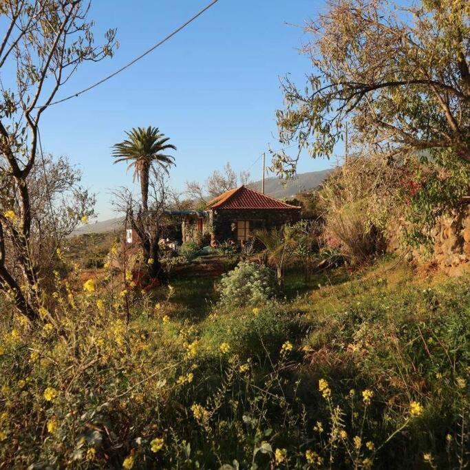 티하라페 Casita En El Campo Con Vista Al Oceano 빌라 외부 사진