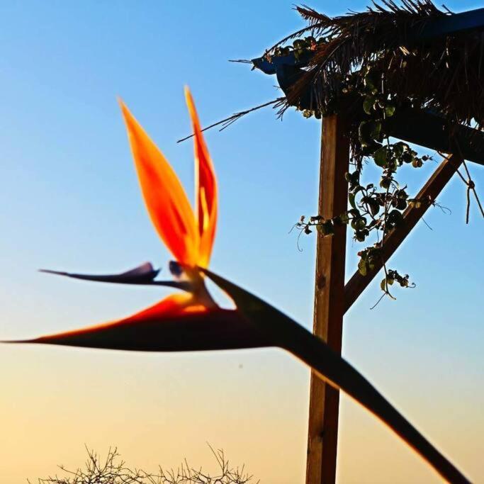 티하라페 Casita En El Campo Con Vista Al Oceano 빌라 외부 사진