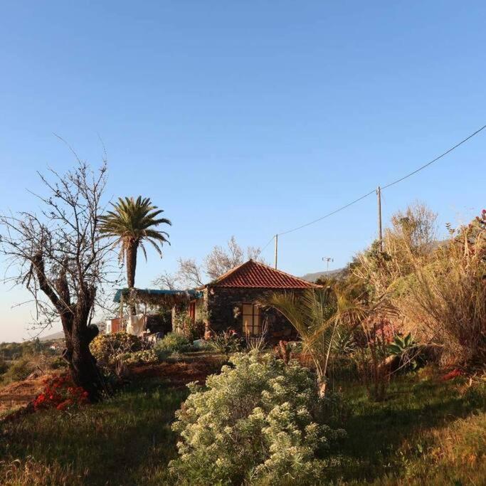 티하라페 Casita En El Campo Con Vista Al Oceano 빌라 외부 사진